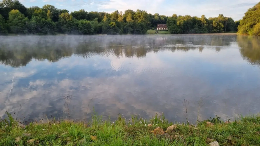 Photos 1 - Forestière - Rare propriété de loisir de 9,2 ha : sa maison, son étang 3,5 ha, ses bois, à vendre en Puisaye, Yonne (89) :