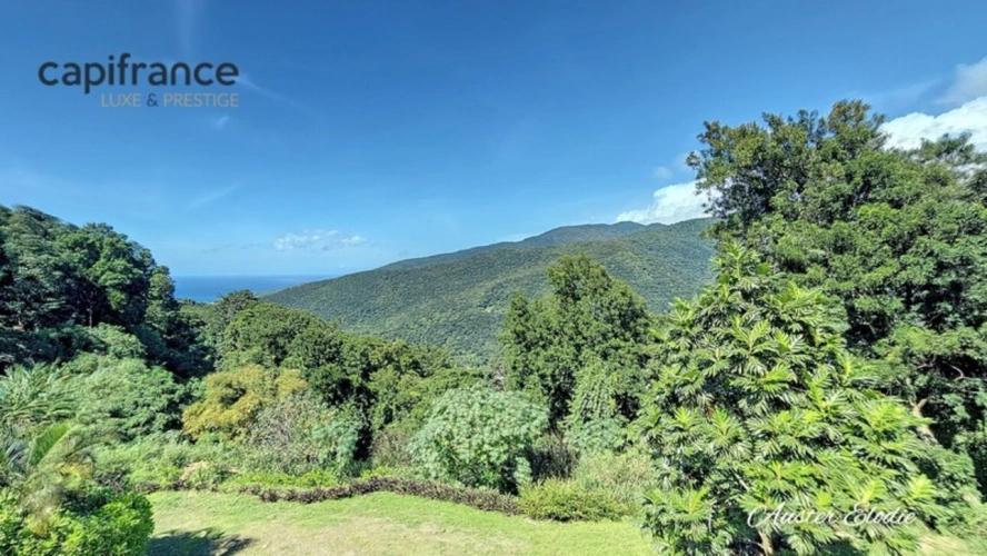 Photos 13 - Touristique - Magnifique gîtes avec piscine Vue mer des Caraibes et Montagnes