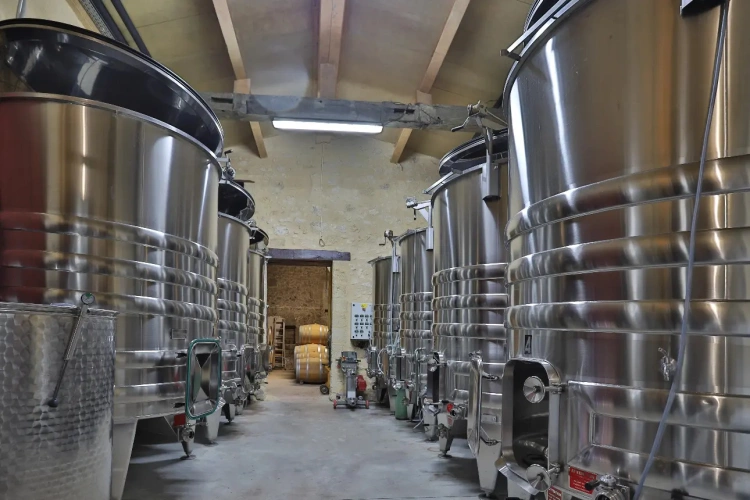 Photos 1 - Vineyard - Beautiful 9-hectare property near Saint-Emilion