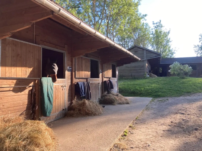 Photos 11 - Équestre - Domaine avec 2 maisons et installations completes sur 5ha