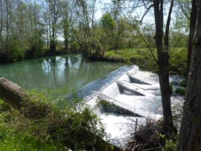 Photos 21 - Équestre - Dpt Seine et Marne (77) à vendre  grand domaine de plus de 4500 m2 couverts sur un parc de 4,5 hectares