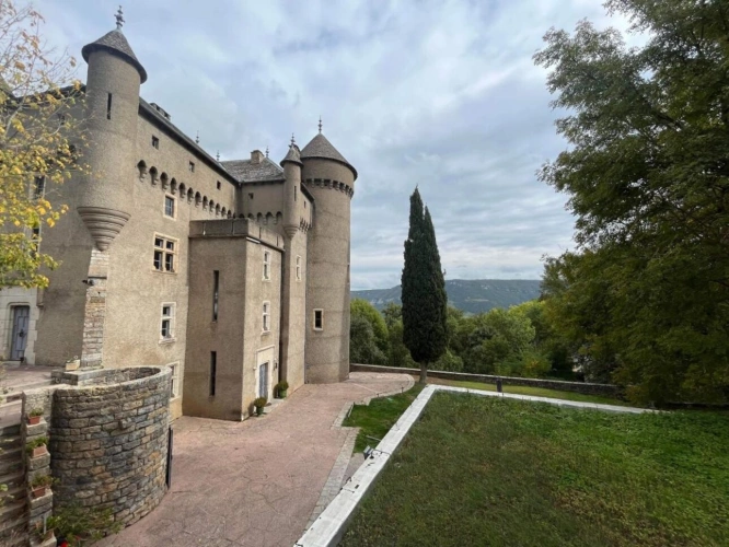 Photos 18 - Prestige - Château