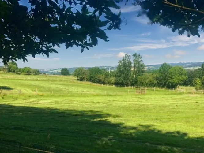 Photos 3 - Agricultural - A piece of heaven on 16 acres of grazing land close to domanial forest