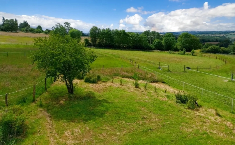 Photos 6 - Agricultural - A piece of heaven on 16 acres of grazing land close to domanial forest