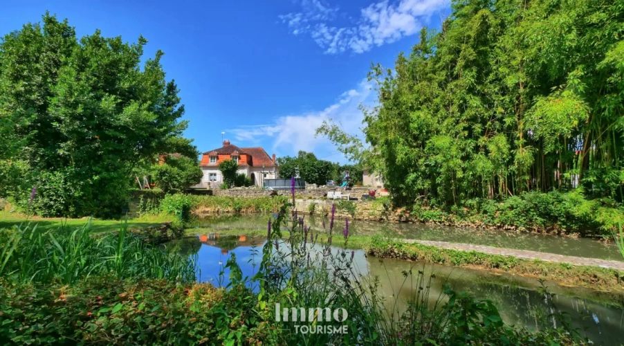 Photos 10 - Équestre - Propriété avec gîte et chambres d’hôtes aux portes du Zoo de Beauval