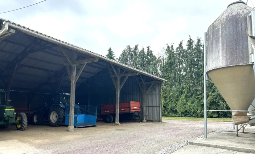 Photos 3 - Agricole - BRETAGNE-MORBIHAN-BELLE AFFAIRE DE PRODUCTION VOLAILLES FERMIERES ET VENTE DIRECTE SUR ENVIRON 45 HECTARES.