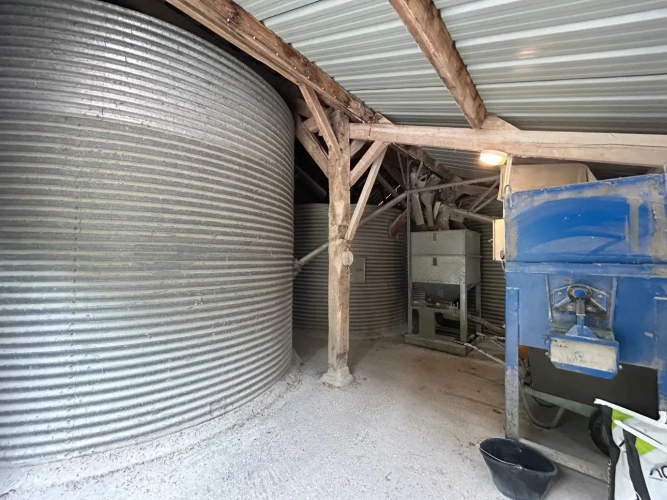 Photos 4 - Agricole - BRETAGNE-MORBIHAN-BELLE AFFAIRE DE PRODUCTION VOLAILLES FERMIERES ET VENTE DIRECTE SUR ENVIRON 45 HECTARES.
