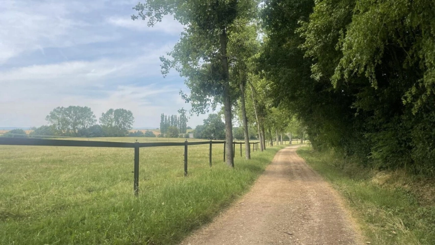 Photos 1 - Équestre - Haras d'exception 47ha d'un seul tenant