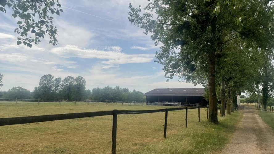 Photos 2 - Équestre - Haras d'exception 47ha d'un seul tenant