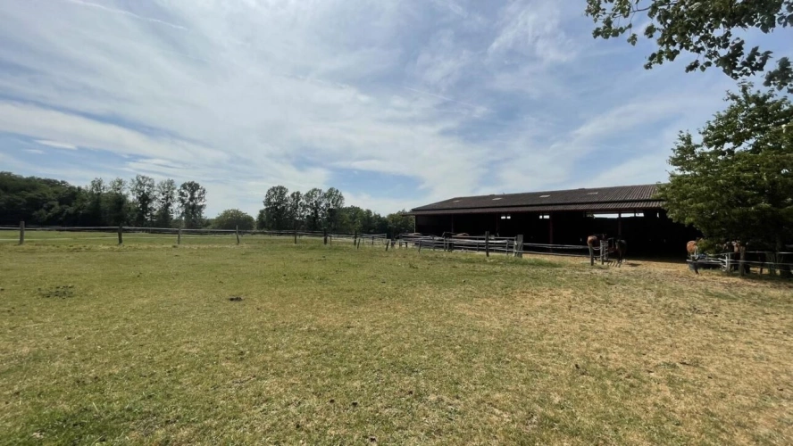 Photos 4 - Équestre - Haras d'exception 47ha d'un seul tenant