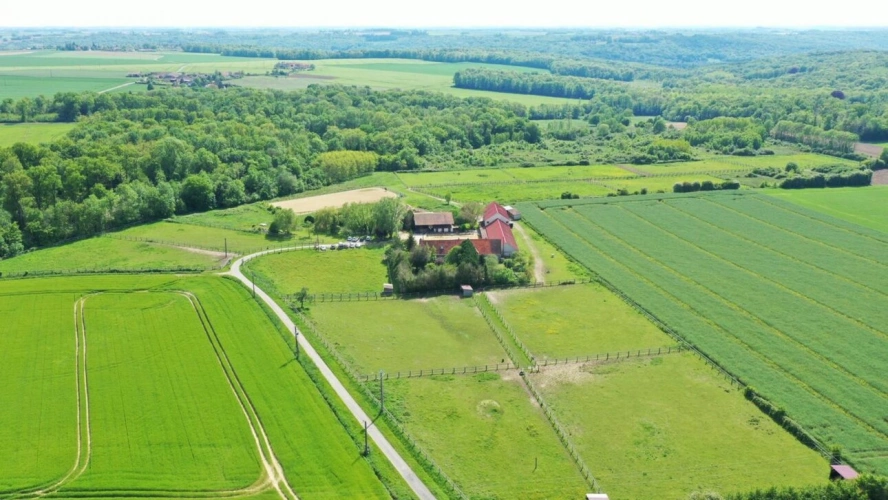 Photos 1 - Équestre - Ecurie de propriétaires avec logements sur 15 ha