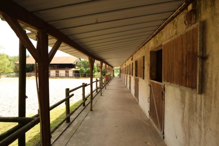 Photos 4 - Équestre - Ecurie de propriétaires avec logements sur 15 ha