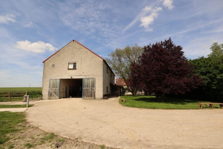 Photos 6 - Équestre - Ecurie de propriétaires avec logements sur 15 ha