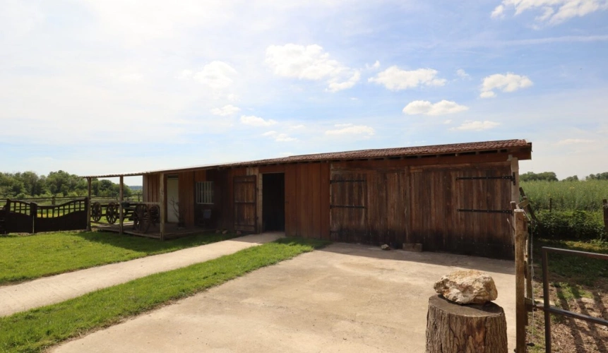 Photos 11 - Équestre - Ecurie de propriétaires avec logements sur 15 ha