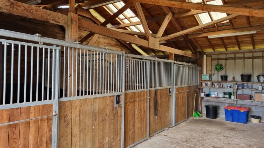 Photos 5 - Équestre - Maison avec infrastructures équestres sur 2,7 Ha- Proche Vichy