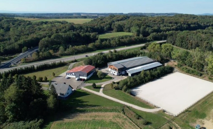 Photos 1 - Équestre - Haras d'exception à vendre en Alsace, 10ha d'un tenant