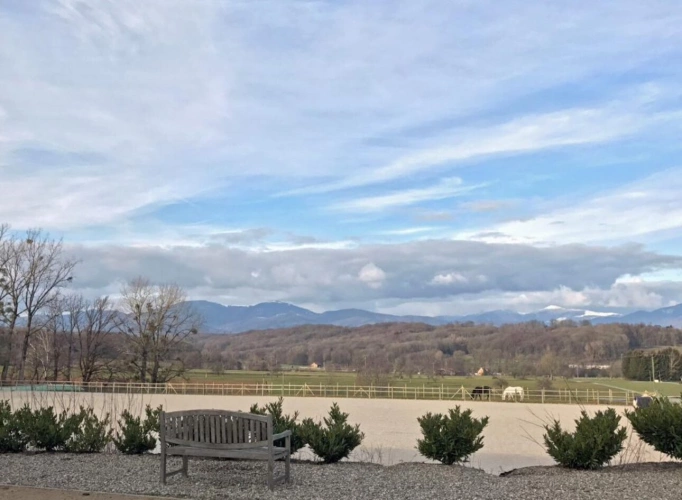 Photos 3 - Équestre - Haras d'exception à vendre en Alsace, 10ha d'un tenant