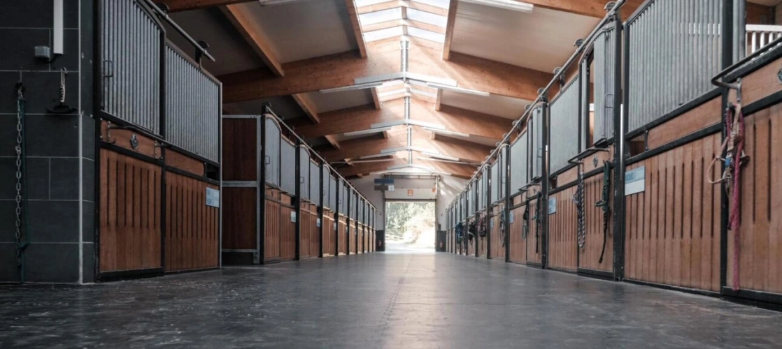 Photos 9 - Équestre - Haras d'exception à vendre en Alsace, 10ha d'un tenant