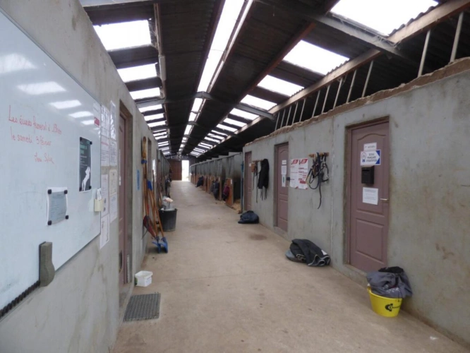 Photos 3 - Équestre - Ecuries de Propriétaires à Louer - Aux portes de Lyon (69)
