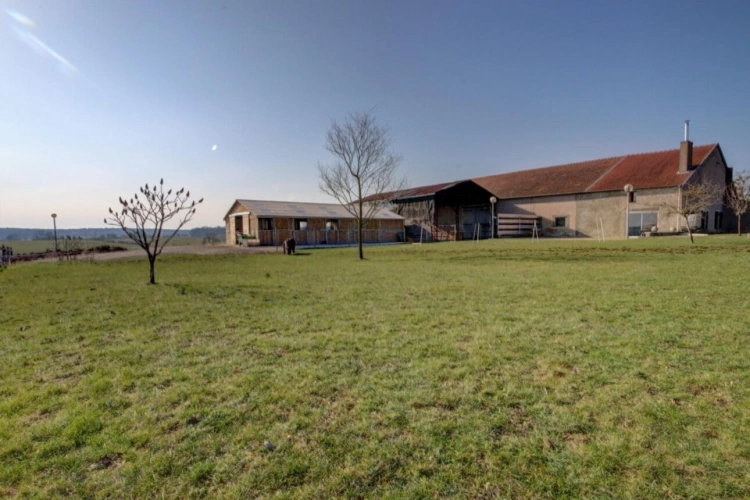 Photos 2 - Equestrian - Charmante propriété équestre sur 3,86 ha et maison de 225 m²