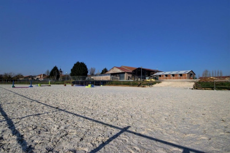 Photos 6 - Equestrian - Charmante propriété équestre sur 3,86 ha et maison de 225 m²