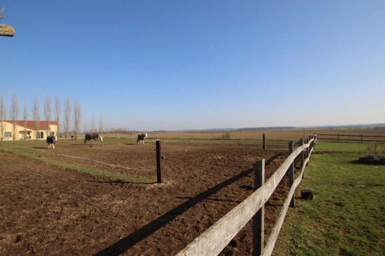 Photos 12 - Equestrian - Charmante propriété équestre sur 3,86 ha et maison de 225 m²