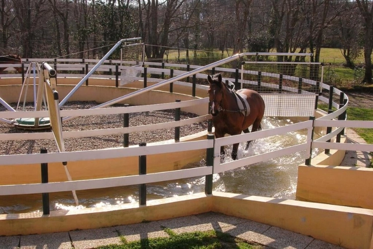 Photos 5 - Équestre - Domaine Equestre à deux pas de la mer sur 3,3 Ha - Secteur Bi