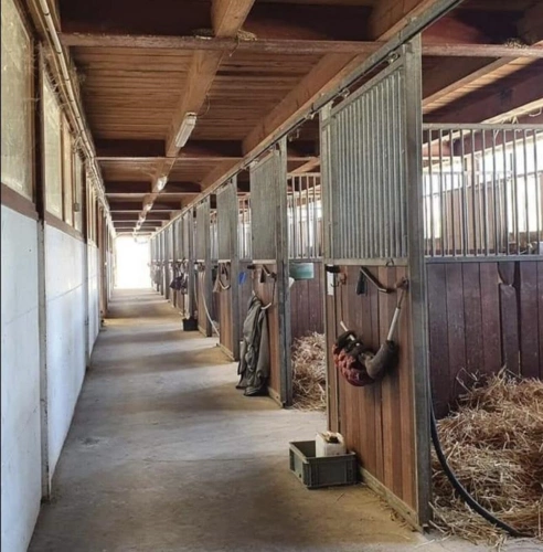 Photos 7 - Équestre - Superbe Centre Équestre à Vendre - 25 Minutes de Genève - Ba