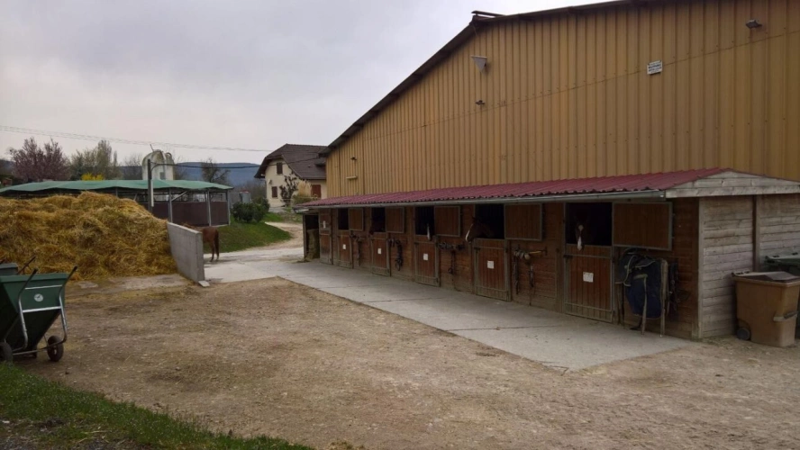 Photos 9 - Équestre - Superbe Centre Équestre à Vendre - 25 Minutes de Genève - Ba
