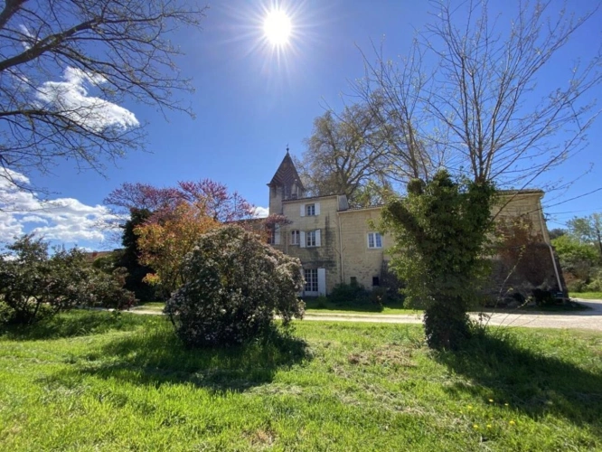 Photos 2 - Équestre - Écurie moderne en plein coeur de la Provence (30)