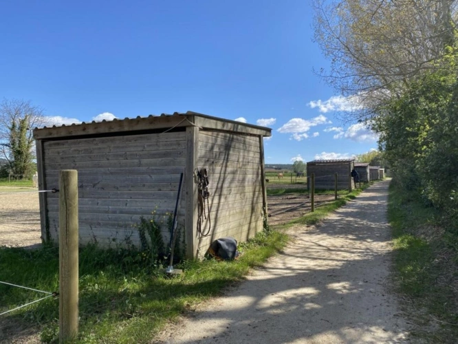 Photos 20 - Équestre - Écurie moderne en plein coeur de la Provence (30)