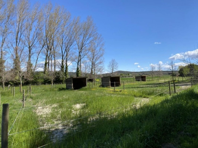 Photos 21 - Équestre - Écurie moderne en plein coeur de la Provence (30)