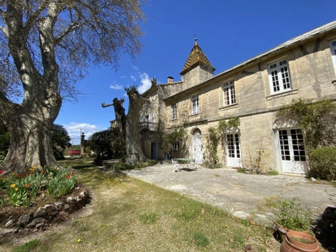 Photos 24 - Équestre - Écurie moderne en plein coeur de la Provence (30)