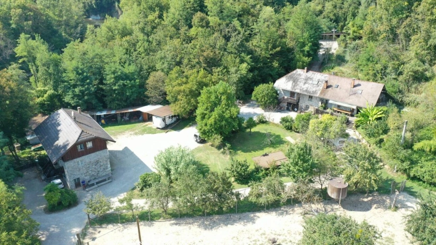 Photos 2 - Équestre - Propriété agricole avec dépendances sur 4 ha - Annecy