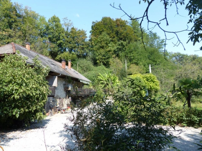 Photos 4 - Équestre - Propriété agricole avec dépendances sur 4 ha - Annecy