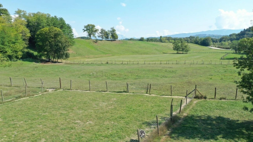 Photos 8 - Équestre - Propriété agricole avec dépendances sur 4 ha - Annecy