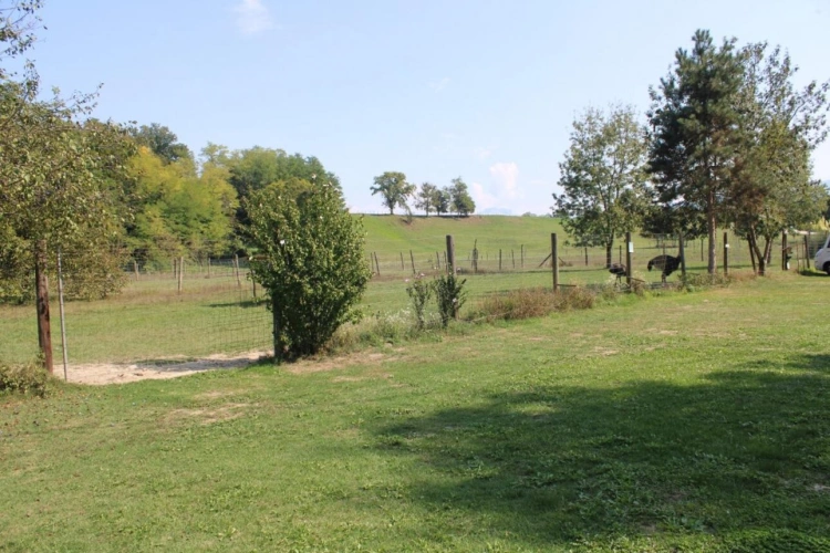 Photos 14 - Équestre - Propriété agricole avec dépendances sur 4 ha - Annecy
