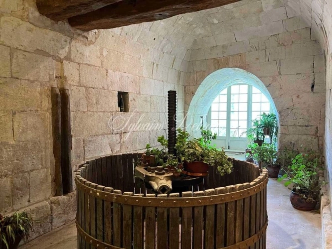Photos 15 - Equestrian - Restored 19th century castle on a 25 hectare estate.