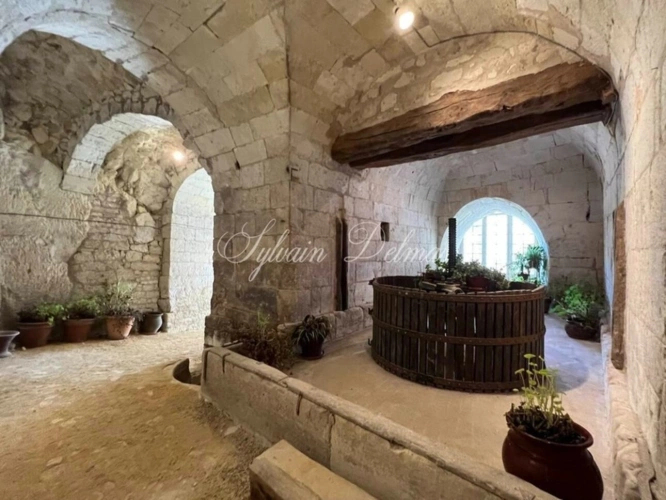 Photos 16 - Equestrian - Restored 19th century castle on a 25 hectare estate.