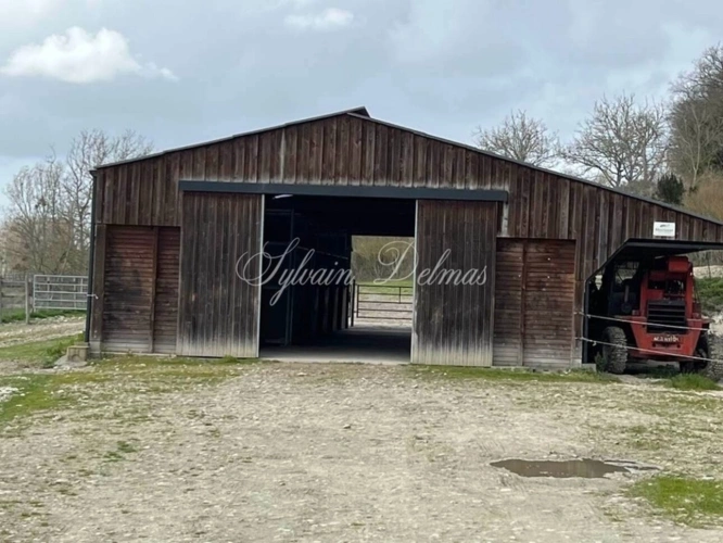 Photos 18 - Equestrian - Restored 19th century castle on a 25 hectare estate.