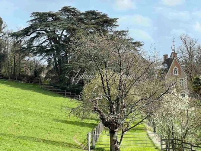Photos 24 - Equestrian - Restored 19th century castle on a 25 hectare estate.