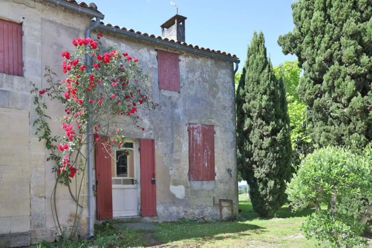 Photos 4 - Vineyard - Beautiful 9-hectare property near Saint-Emilion