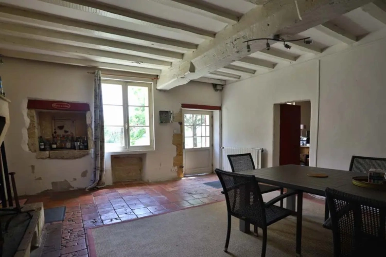 Photos 6 - Vineyard - Beautiful 9-hectare property near Saint-Emilion