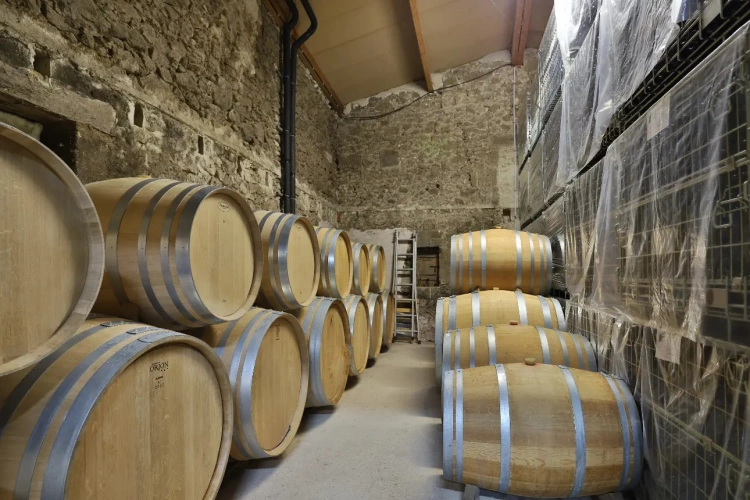 Photos 13 - Vineyard - Beautiful 9-hectare property near Saint-Emilion