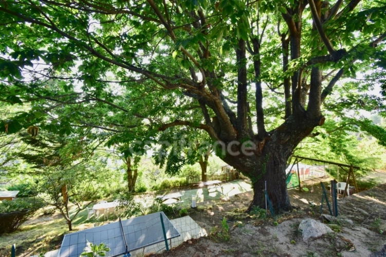 Photos 12 - Touristique - Dpt Corse (20), à vendre EVISA, ensemble de six chalets en bois avec terrasse sur terrain avec piscine et parking