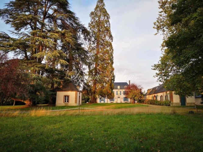 Photos 16 - Equestrian - Dpt Sarthe (72), for sale MONTAILLE property P20