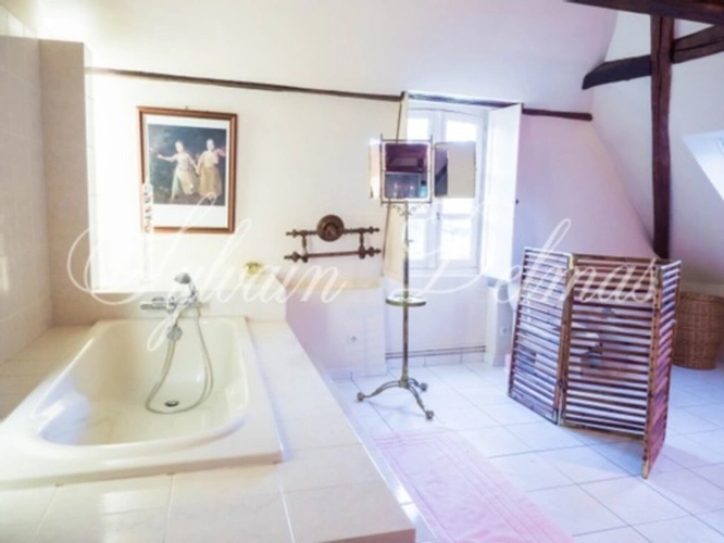 Photos 20 - Equestrian - Dpt Sarthe (72), for sale MONTAILLE property P20