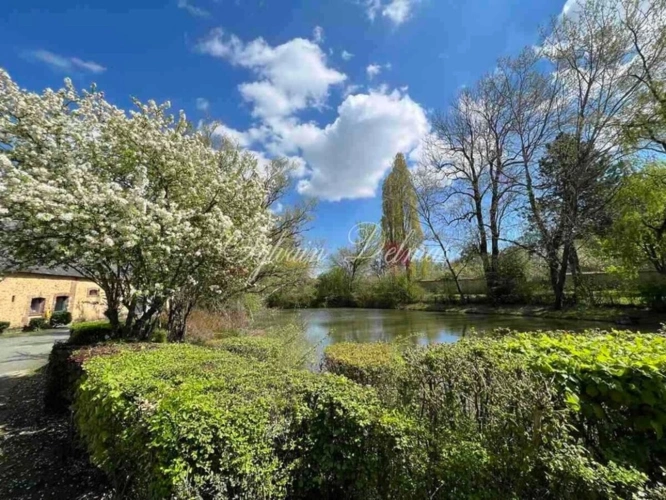 Photos 26 - Equestrian - Dpt Sarthe (72), for sale MONTAILLE property P20