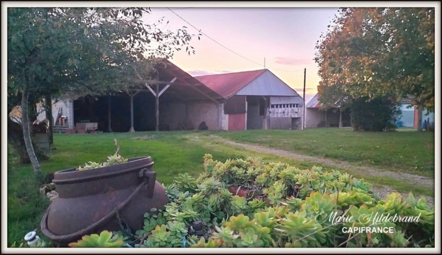 Photos 12 - Agricultural - Property of over 170m² - 4 bedrooms - outbuildings and 40 hectares of farmland