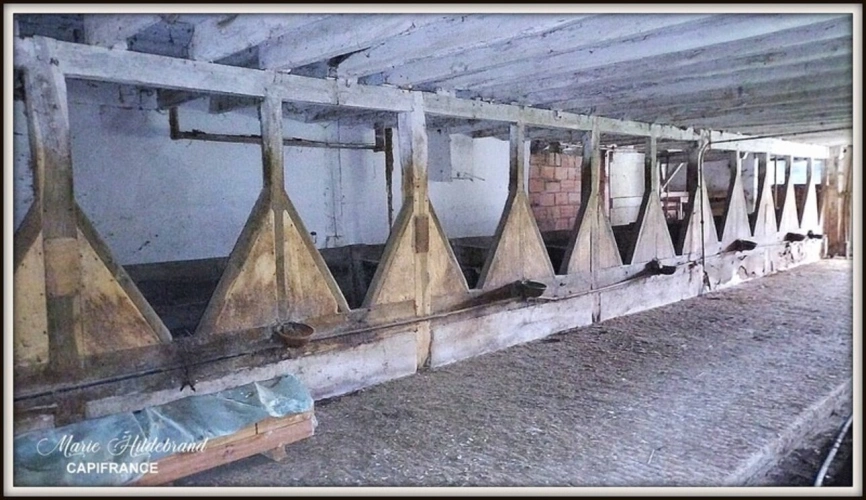 Photos 15 - Agricultural - Property of over 170m² - 4 bedrooms - outbuildings and 40 hectares of farmland